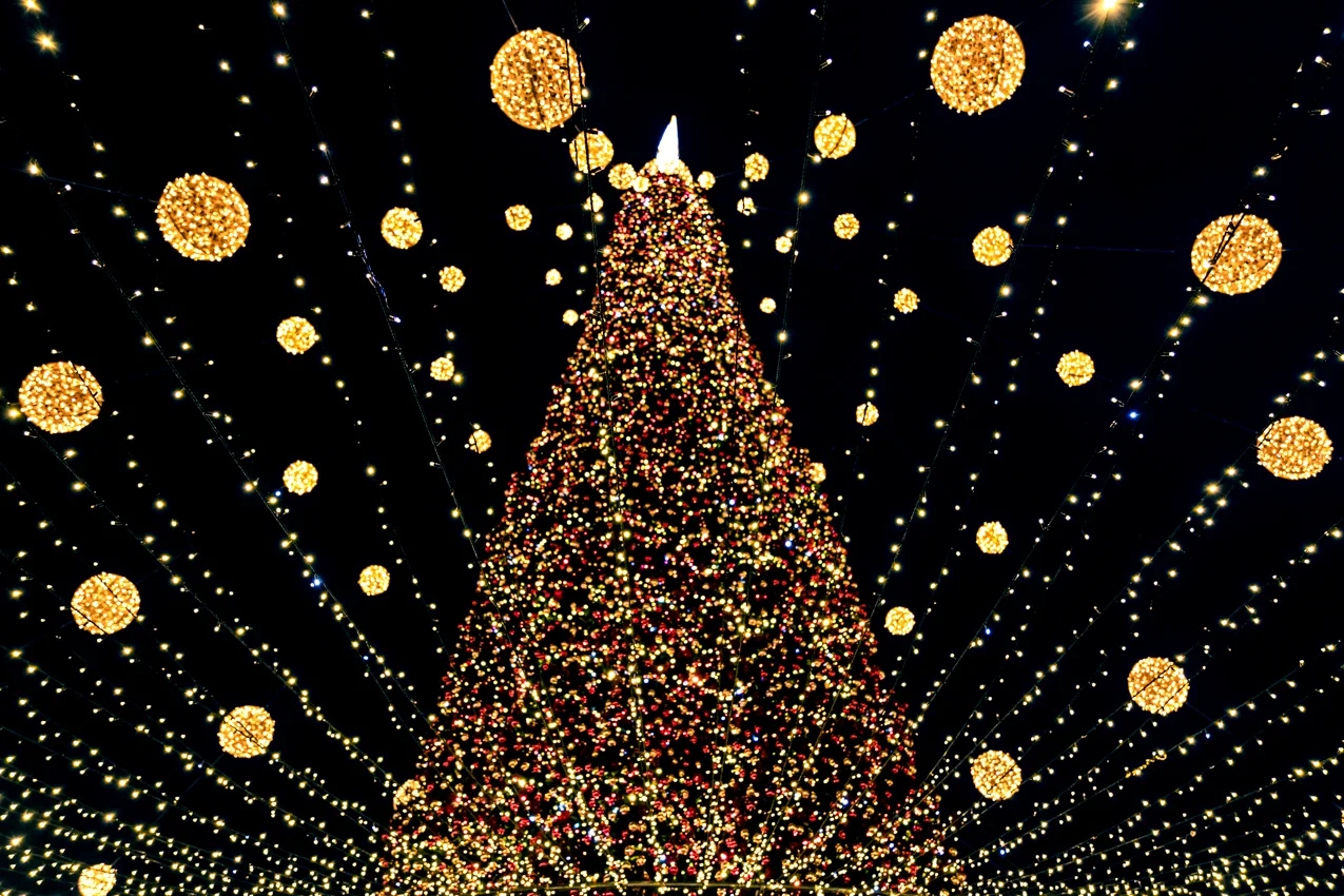 Christmas Tree Light Displays in Poconos HolidayKeepers