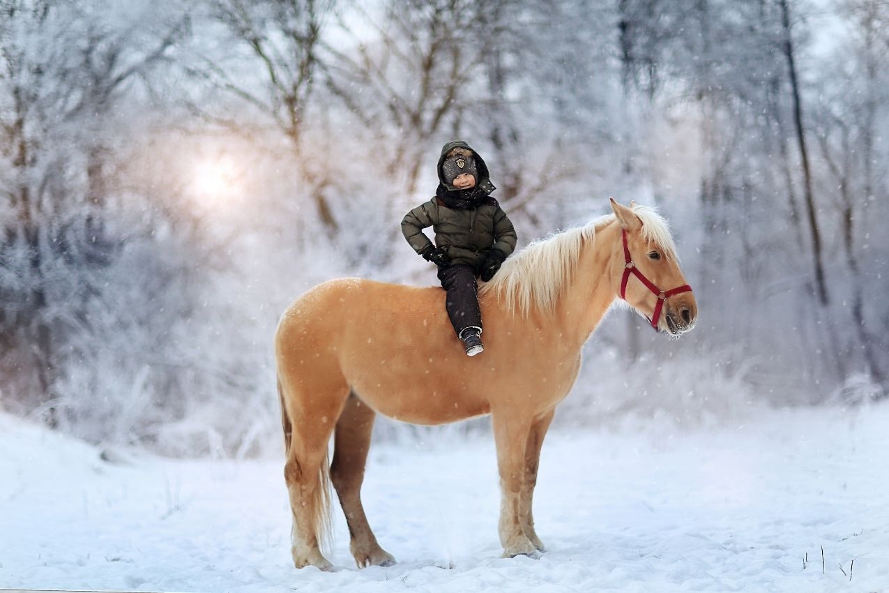 A little boy enjoying horseback riding in winter in poconos