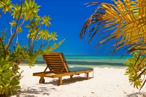 tropical paradise theme