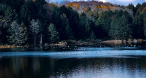 A view of Deepcreek Lake in the wild
