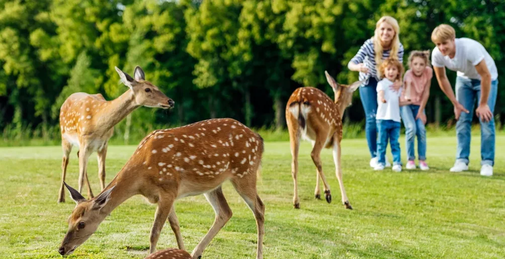 Explore Pocono wildlife sanctuaries and nature preserves