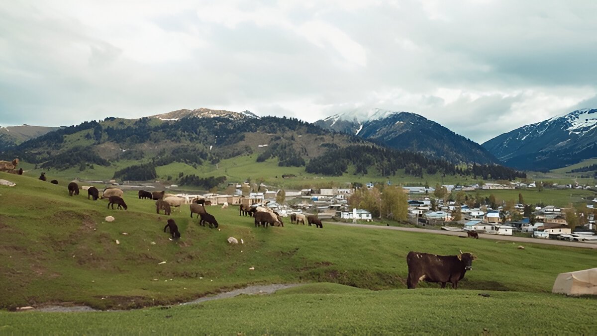 a view from Quiet Valley Living Historical Farm, showcasing its rich concept of living.