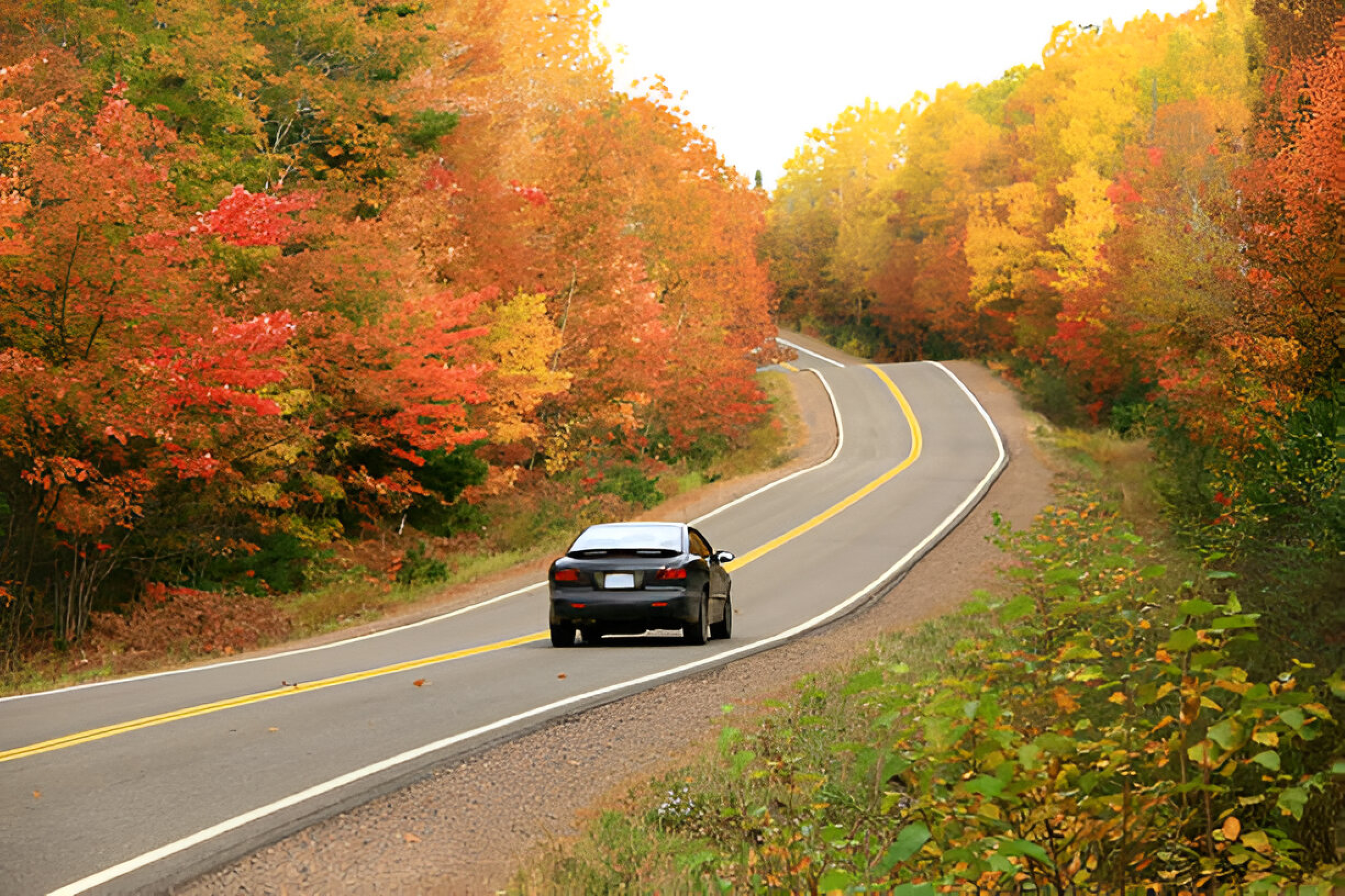 A cry driving through a scenic route with trees all around