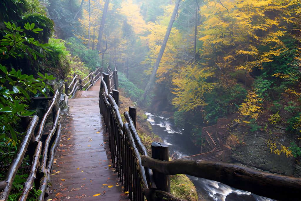 A tall standing bridge during a monsoon walk in the Poconos