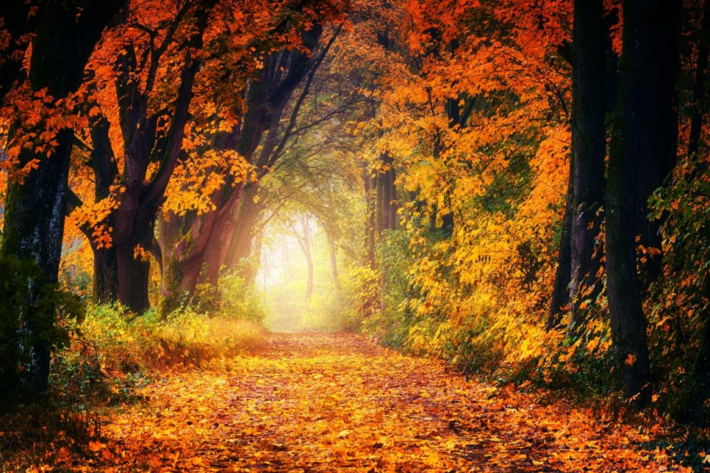 best-fall-place-US