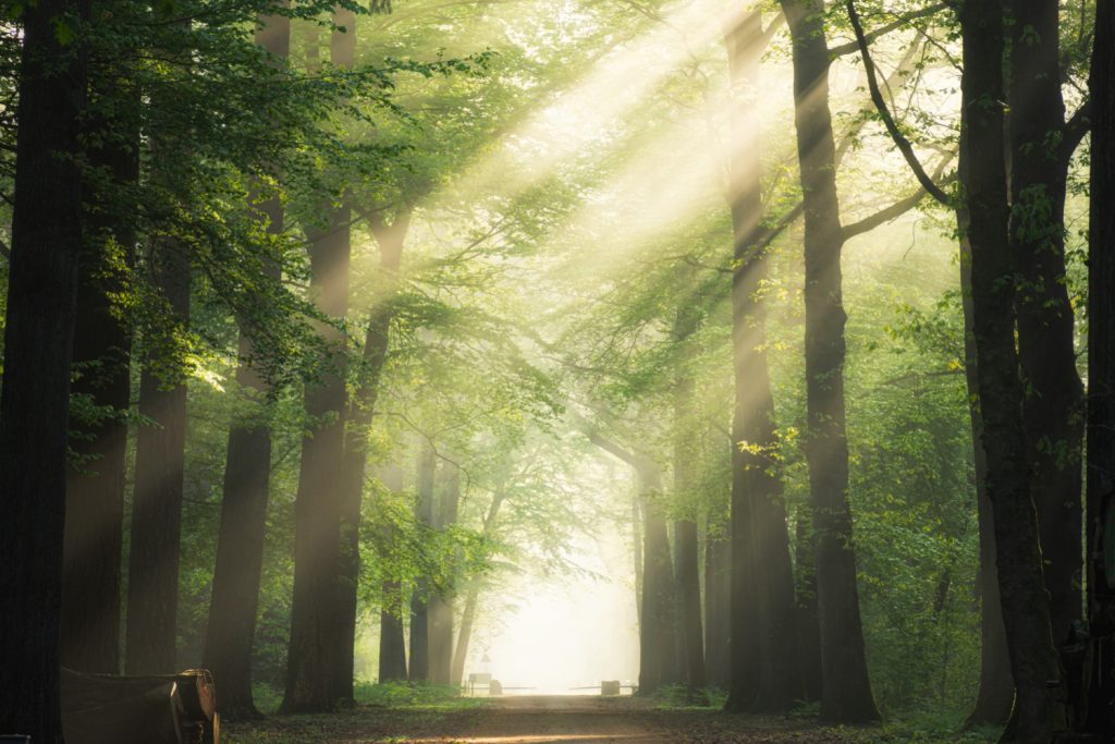state-parks-Poconos